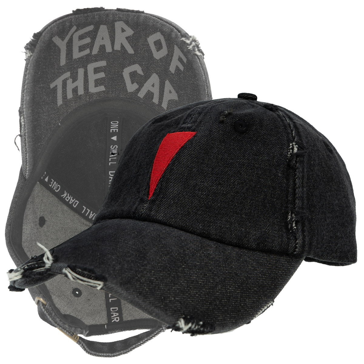 YEAR OF THE CAP